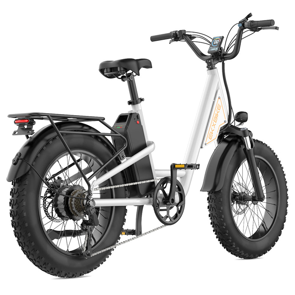 EKXBIKE L1 Electric Bike, 1000W Motor, 48V 15.6Ah Battery, 20*4 inch Fat Tire, 55km/h Max Speed, 80km Range, Disc Brake, Front & Rear Suspension, Shimano 7-speed, LCD Display
