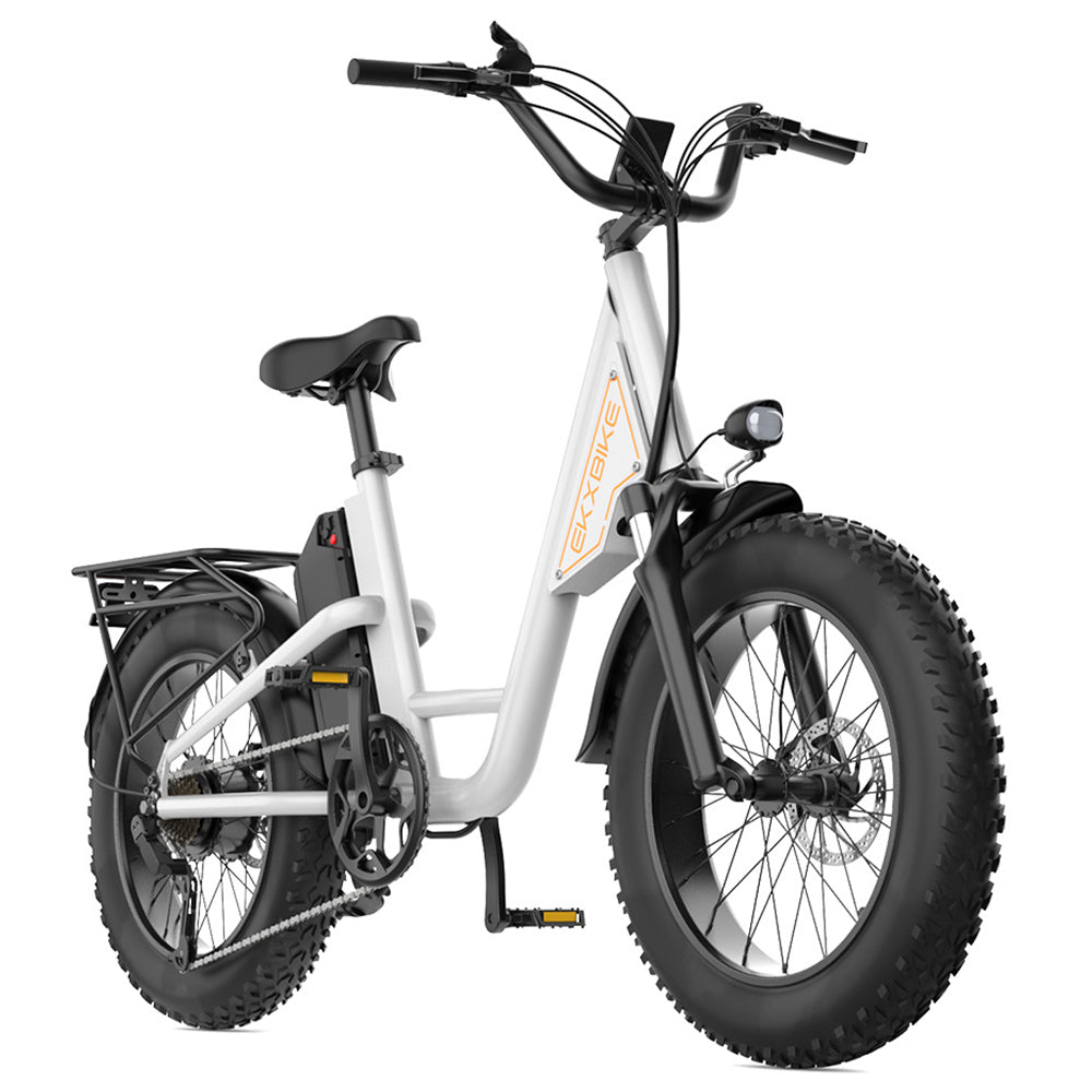 EKXBIKE L1 Electric Bike, 1000W Motor, 48V 15.6Ah Battery, 20*4 inch Fat Tire, 55km/h Max Speed, 80km Range, Disc Brake, Front & Rear Suspension, Shimano 7-speed, LCD Display