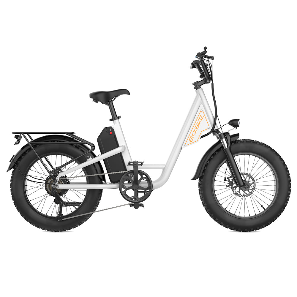 EKXBIKE L1 Electric Bike, 1000W Motor, 48V 15.6Ah Battery, 20*4 inch Fat Tire, 55km/h Max Speed, 80km Range, Disc Brake, Front & Rear Suspension, Shimano 7-speed, LCD Display