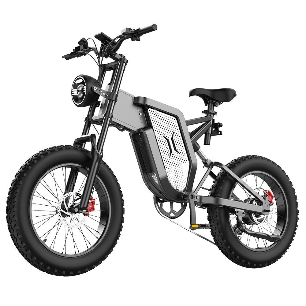EKXBIKE X20 Electric Bike, 2000W Motor, 48V 35AH Battery, 20*4.0-inch Fat Tire, 55km/h Max Speed, 150km Range, Hydraulic Brake, Hydraulic Shock Absorber, Shimano 7-Speed