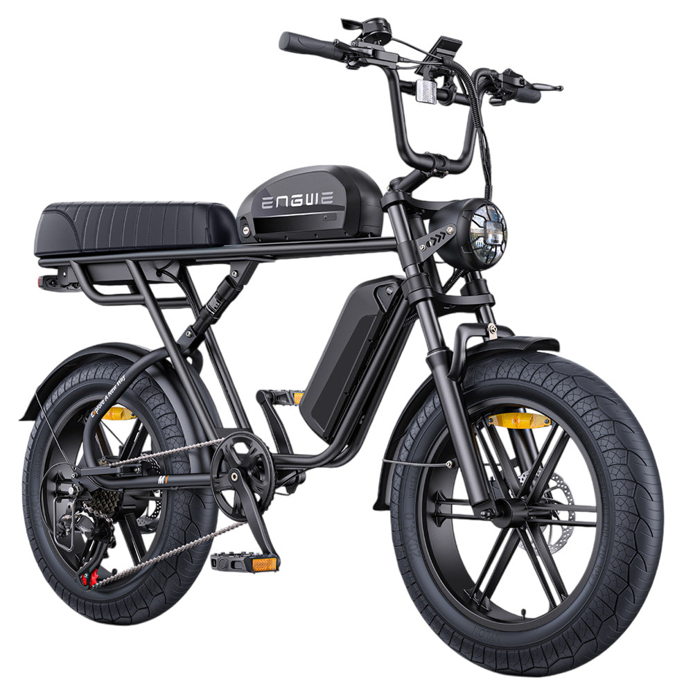 ENGWE M1 Electric Bike, 250W Motor, 48V 15.6Ah Battery, 20*4.0 inch Fat Tire, 25 km/h Max Speed, 90km Range, Hydraulic Disc Brakes, Double Suspension, Shimano 7-speed, LCD Display - Black
