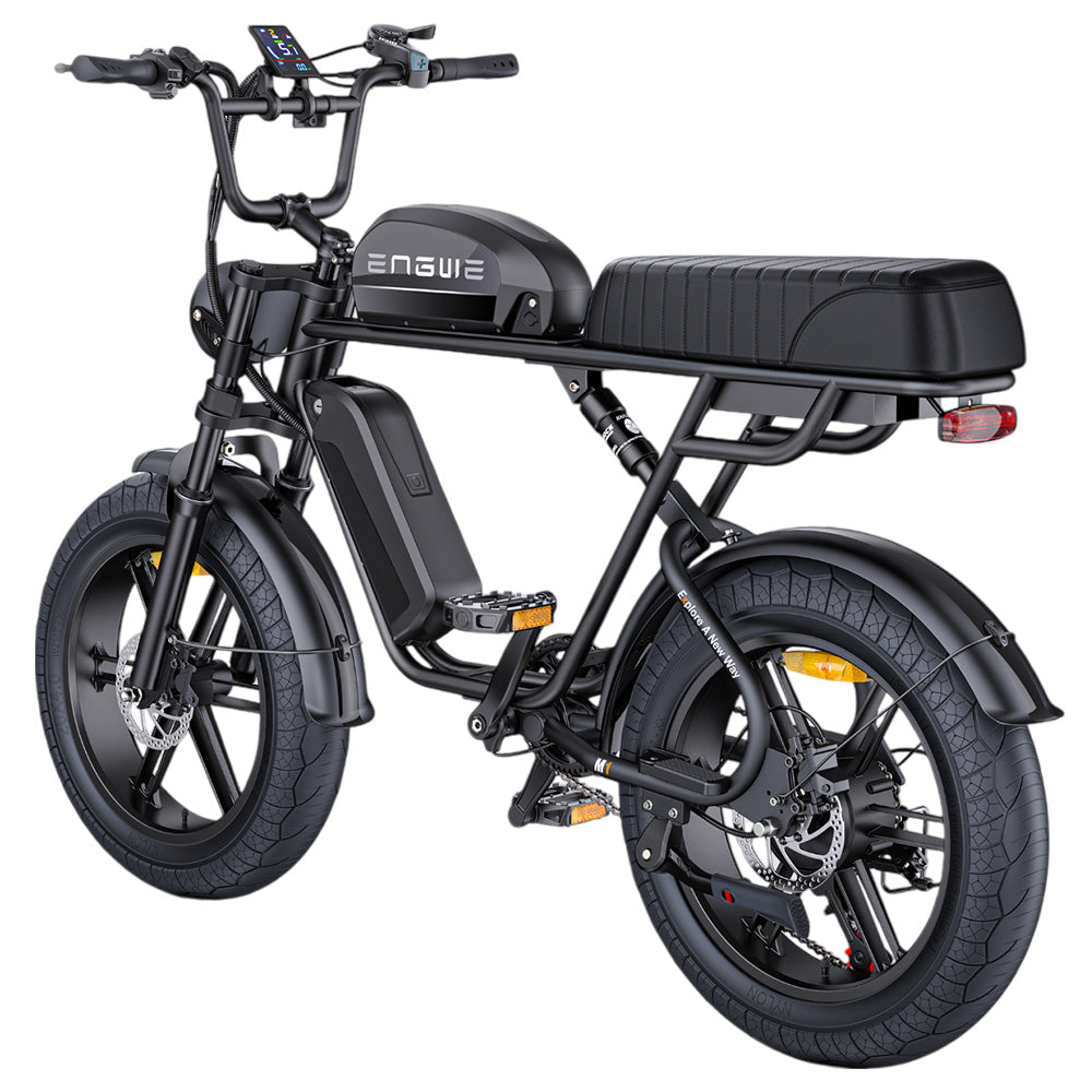 ENGWE M1 Electric Bike, 250W Motor, 48V 15.6Ah Battery, 20*4.0 inch Fat Tire, 25 km/h Max Speed, 90km Range, Hydraulic Disc Brakes, Double Suspension, Shimano 7-speed, LCD Display - Black