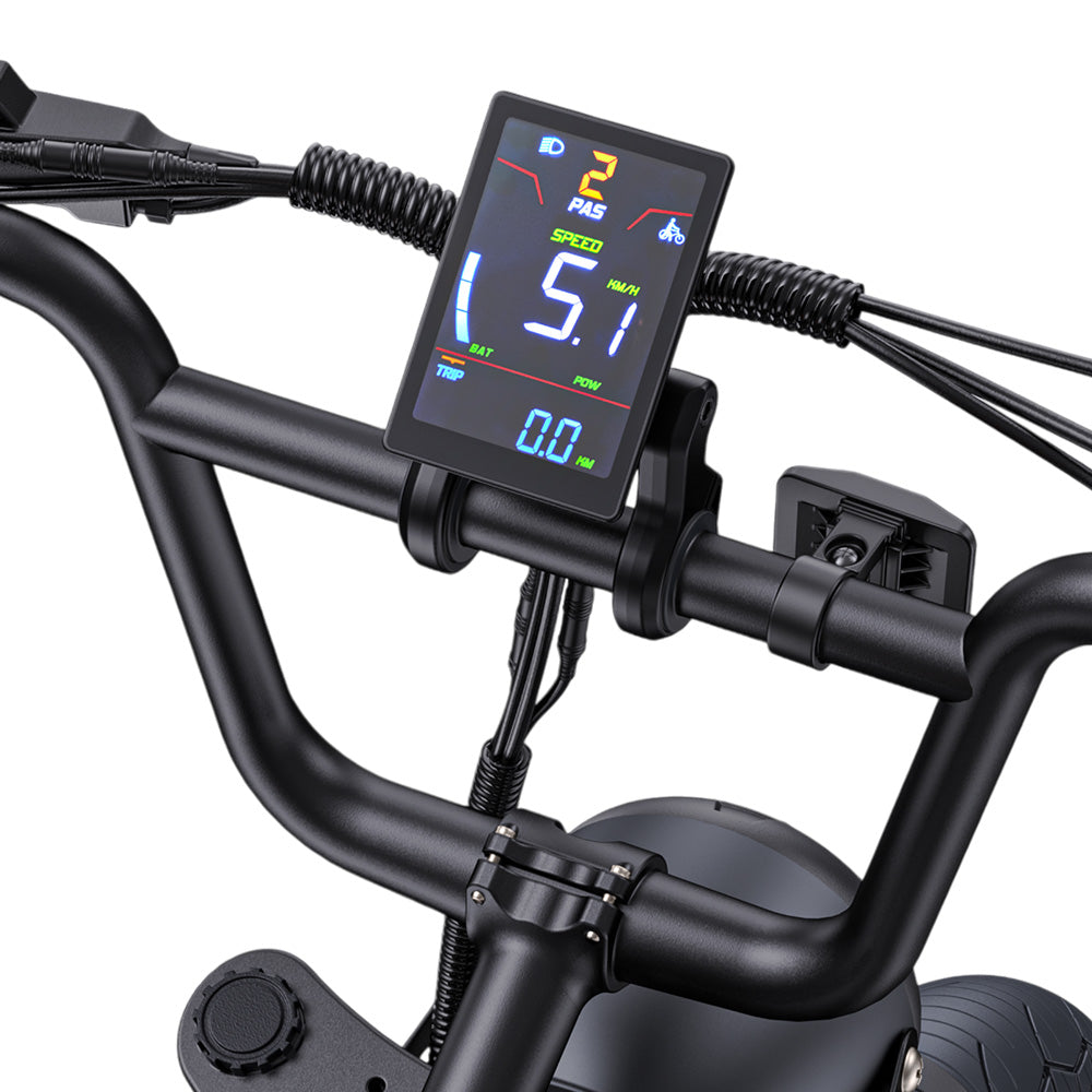 ENGWE M1 Electric Bike, 250W Motor, 48V 15.6Ah Battery, 20*4.0 inch Fat Tire, 25 km/h Max Speed, 90km Range, Hydraulic Disc Brakes, Double Suspension, Shimano 7-speed, LCD Display - Black