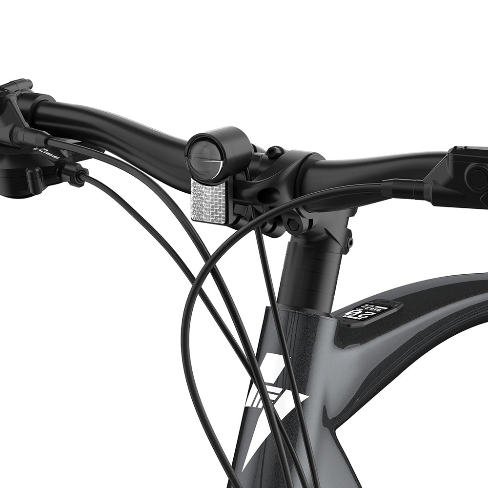 Fafrees F700M Electric Bike, 250W Motor, 36V 10Ah Battery, 700*42C Tires, 25km/h Max Speed, 100km Max Range, Hydraulic Disc Brakes, Torque Sensor, SHIMANO CUES 9-speed - Black