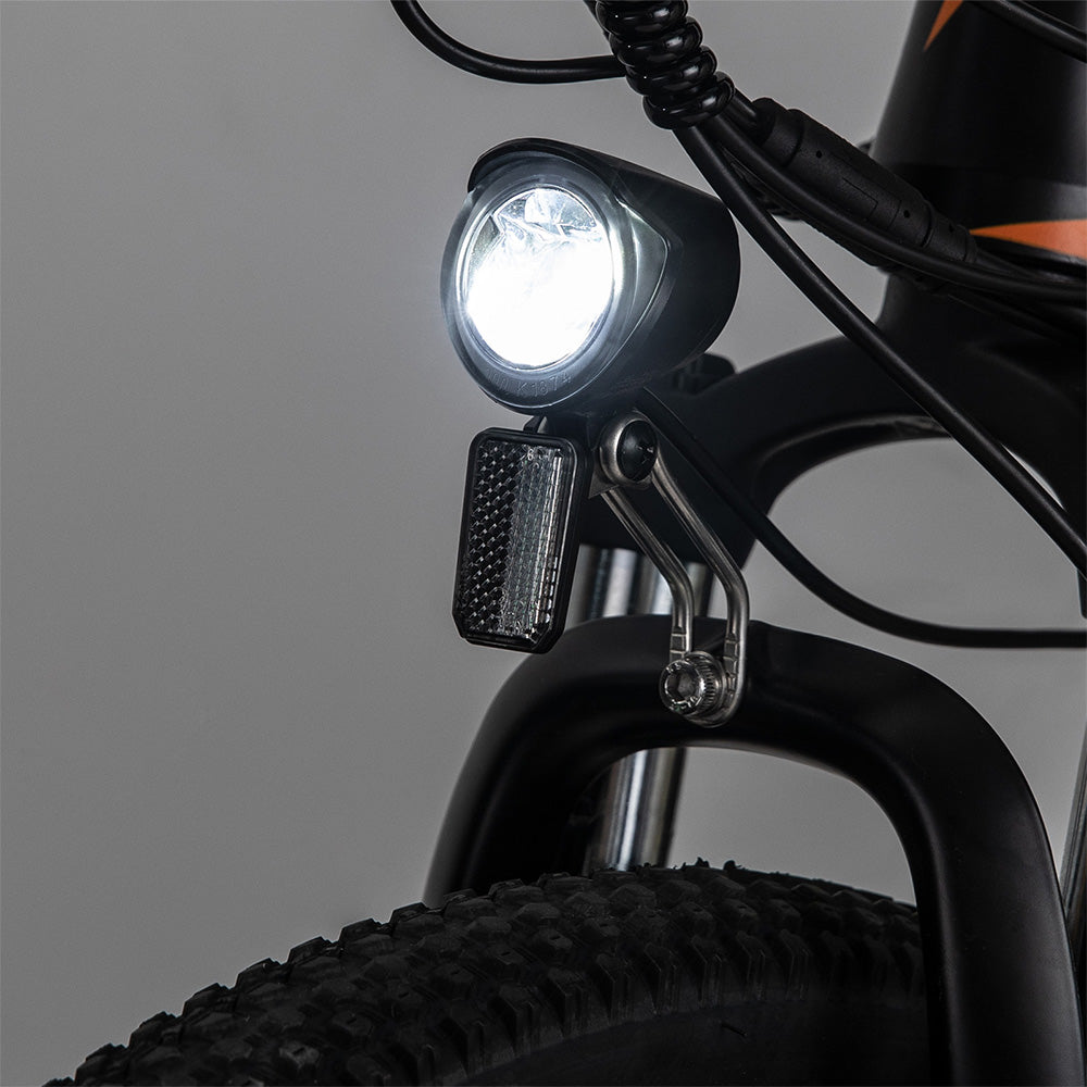 Fafrees Hailong One Electric Bike, 250W Motor, 36V/13Ah Battery, 26*2.1-inch CST Tires, 25km/h Max Speed, 100km Max Range, LCD Display, SHIMANO 21 Speed - Black