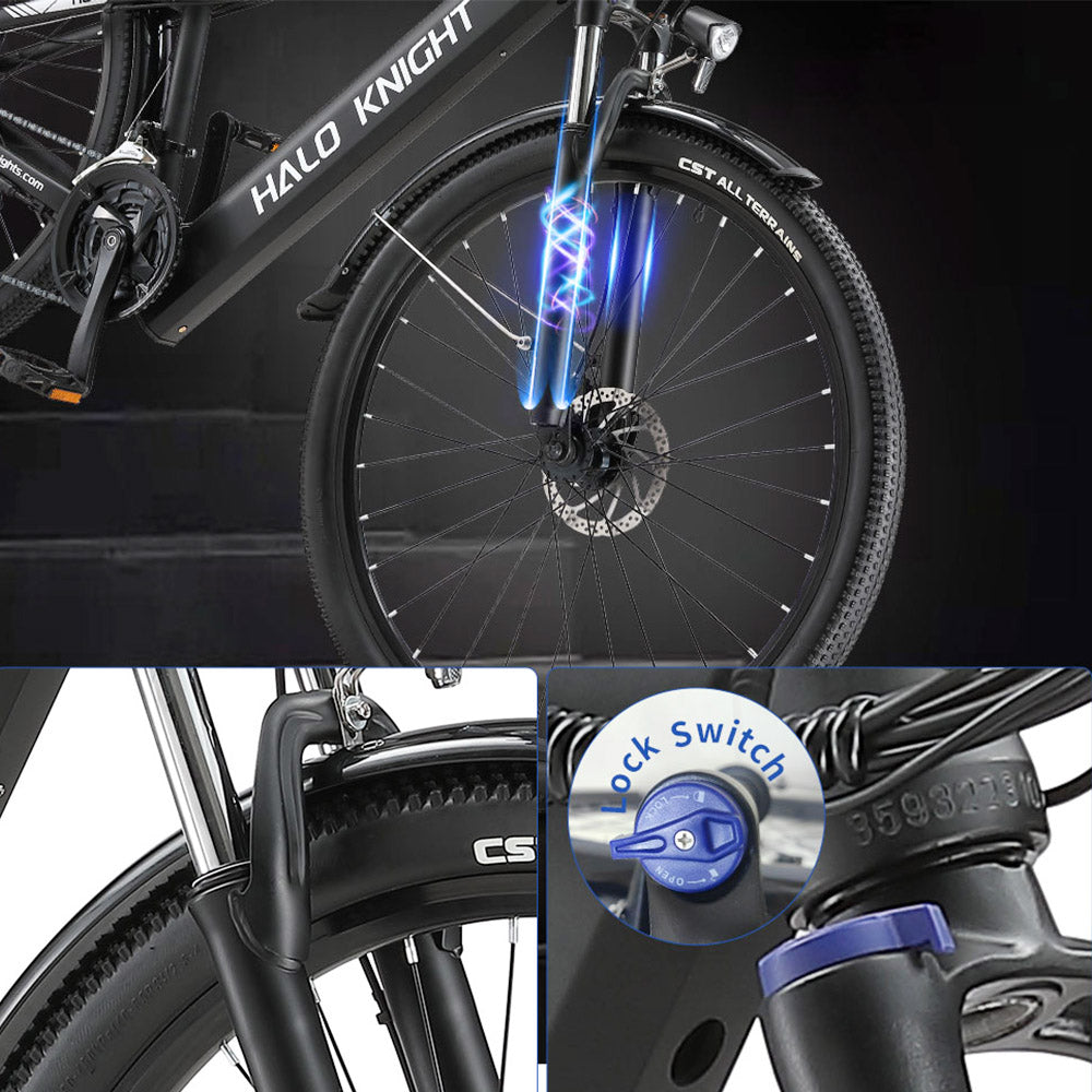 Halo Knight H02 Electric Bike, 750W Brushless Motor, 48V 16Ah Battery, 29*2.1-inch Tires, 50km/h Max Speed, 60km Max Range, Shimano 21 Speed, Mechanical Disc Brake - Black