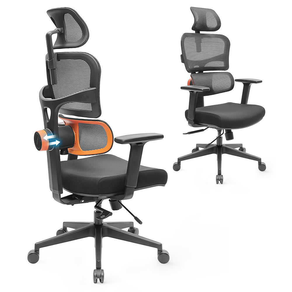 NEWTRAL NT001 Ergonomic Chair Adaptive Lower Back Support 3 Recline Angle Adjustable Backrest Armrest Headrest 5 Positions to Lock Nylon Base - Standard Version