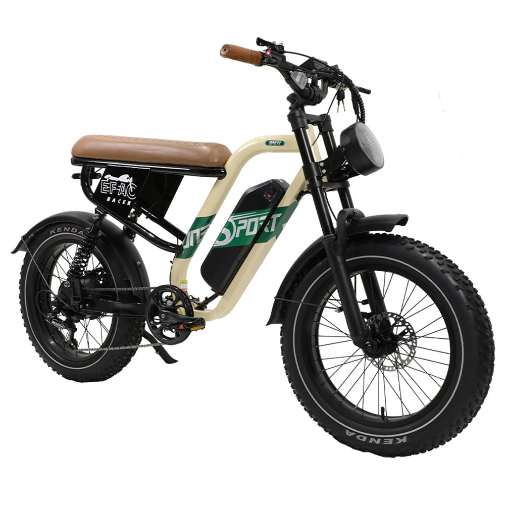 ONESPORT W66 Electric Bike, 500W Motor, 48V 13.5Ah Battery, 20*4.0 inch Tire, 25km/h Max Speed, 100km Range, Front & Rear Hydraulic Disc Brakes, Shock Absorbing Front Fork, 7-speed Transmission