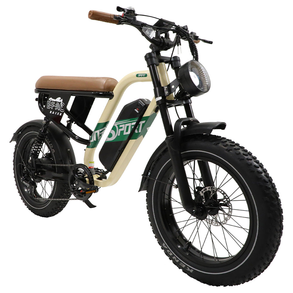 ONESPORT W66 Electric Bike, 500W Motor, 48V 13.5Ah Battery, 20*4.0 inch Tire, 25km/h Max Speed, 100km Range, Front & Rear Hydraulic Disc Brakes, Shock Absorbing Front Fork, 7-speed Transmission