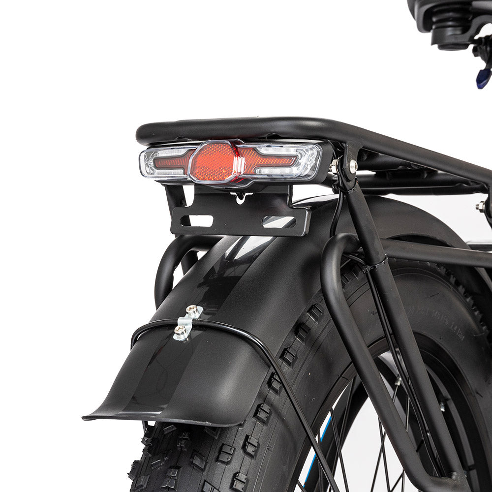Ridstar MN26 Electric Bike, 750W Motor 26*4.0' Fat Tire, 48V 20Ah Battery, 58km/h Max Speed, 90km Max Range, Shimano 7-speed, Mechanical Disc Brake