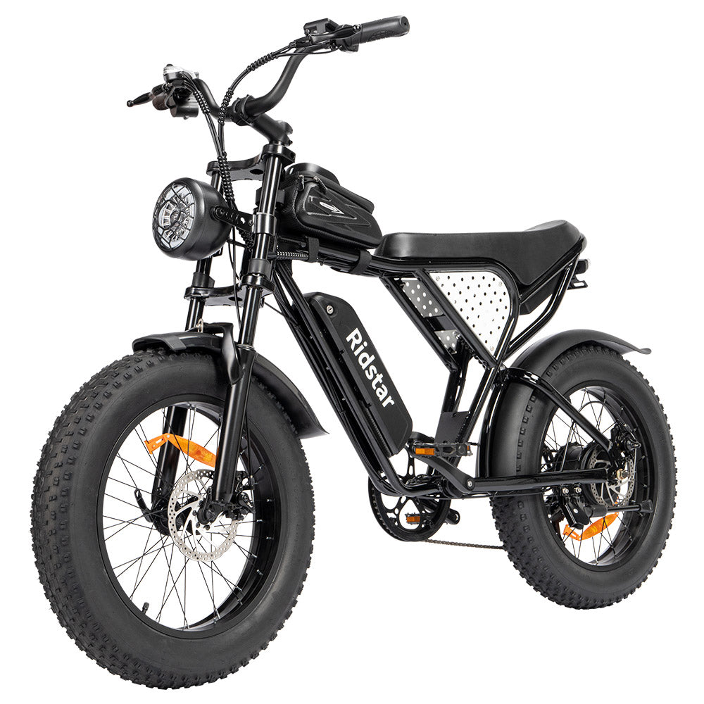 Ridstar Q20 Mini Electric Bike, 1000W Motor, 48V 15AH Battery, 20*4.0 inch Fat Tires, 40km/h Max Speed, 80km Range, Front Suspension Fork, Mechanical Disc Brakes
