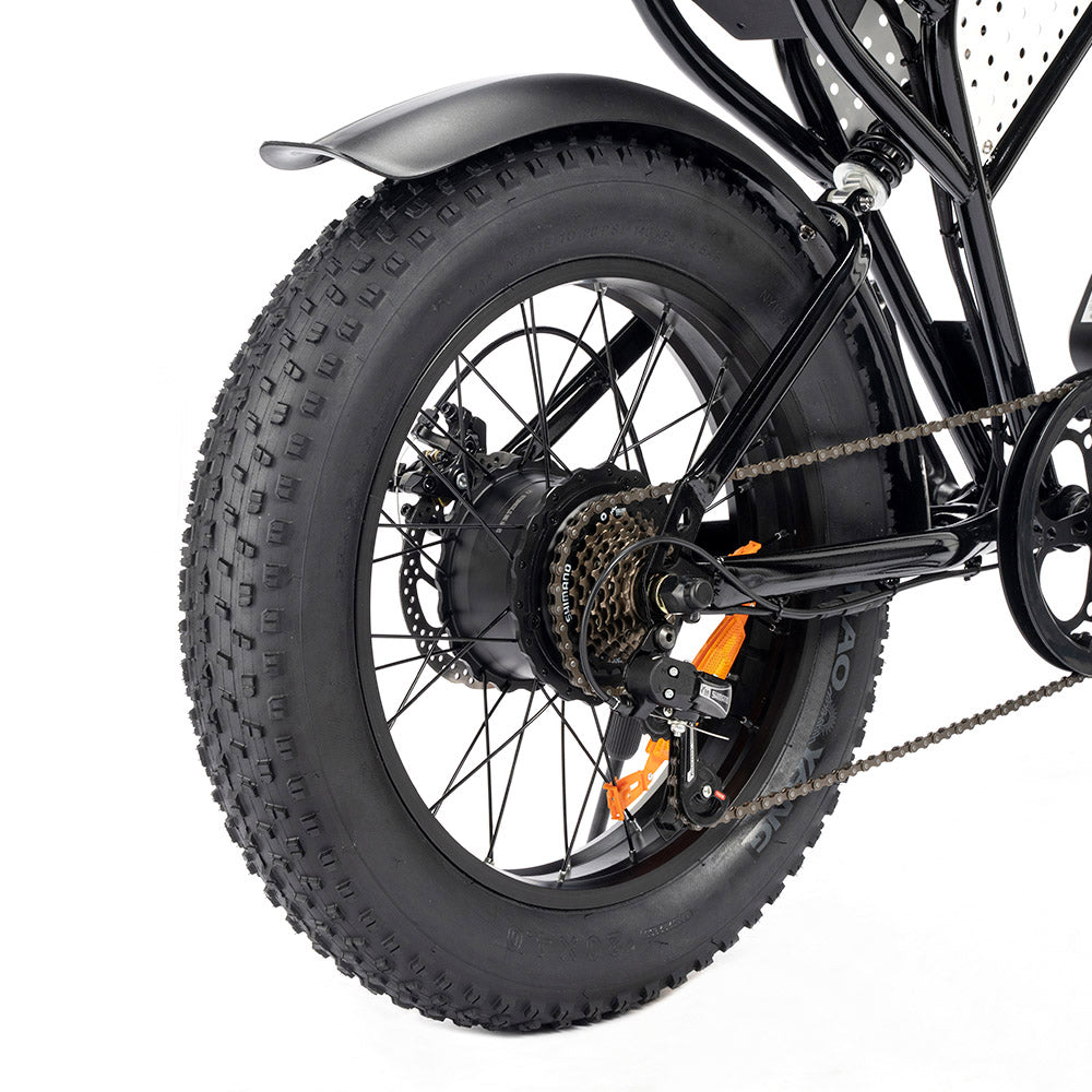 Ridstar Q20 Mini Electric Bike, 1000W Motor, 48V 15AH Battery, 20*4.0 inch Fat Tires, 40km/h Max Speed, 80km Range, Front Suspension Fork, Mechanical Disc Brakes