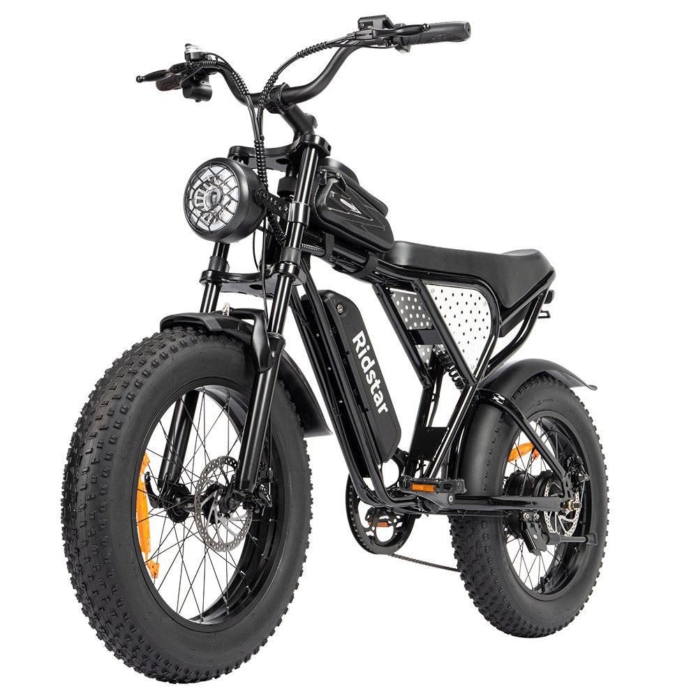 Ridstar Q20 Mini Electric Bike, 1000W Motor, 48V 15AH Battery, 20*4.0 inch Fat Tires, 40km/h Max Speed, 80km Range, Front Suspension Fork, Mechanical Disc Brakes