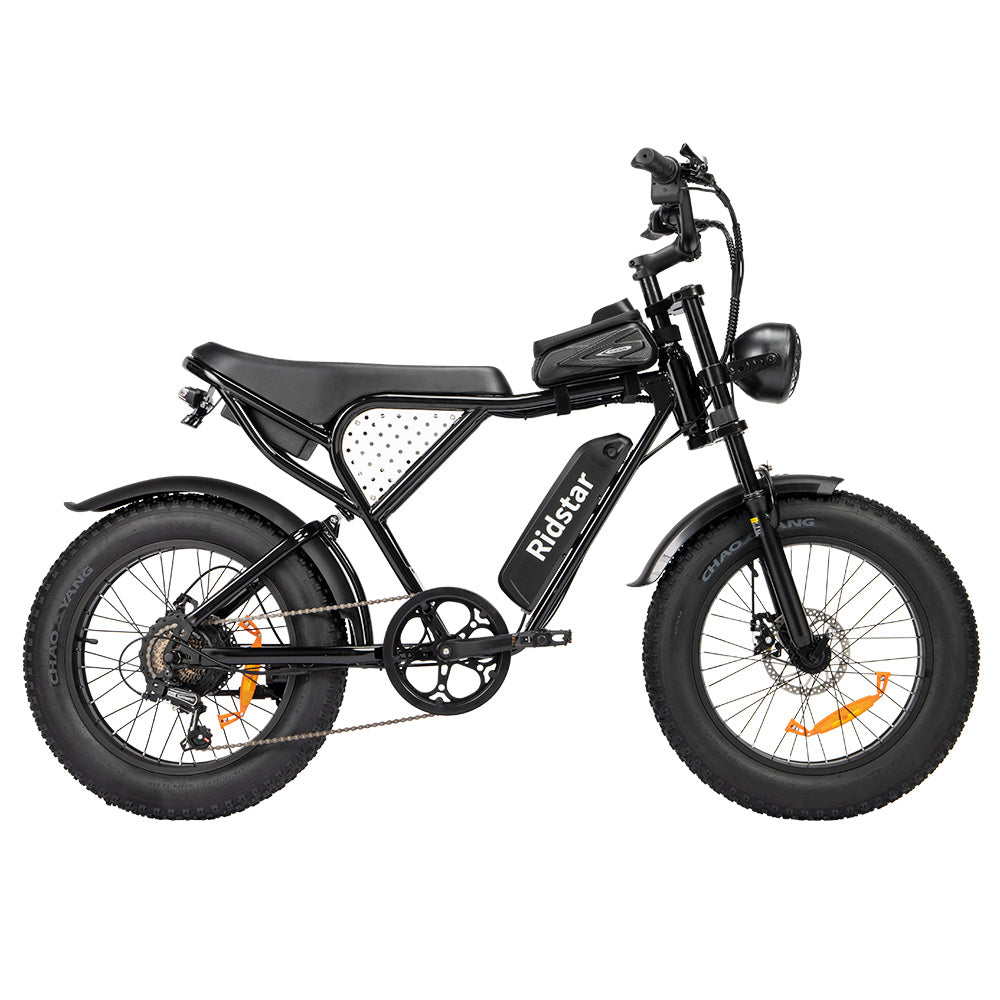 Ridstar Q20 Mini Electric Bike, 1000W Motor, 48V 15AH Battery, 20*4.0 inch Fat Tires, 40km/h Max Speed, 80km Range, Front Suspension Fork, Mechanical Disc Brakes