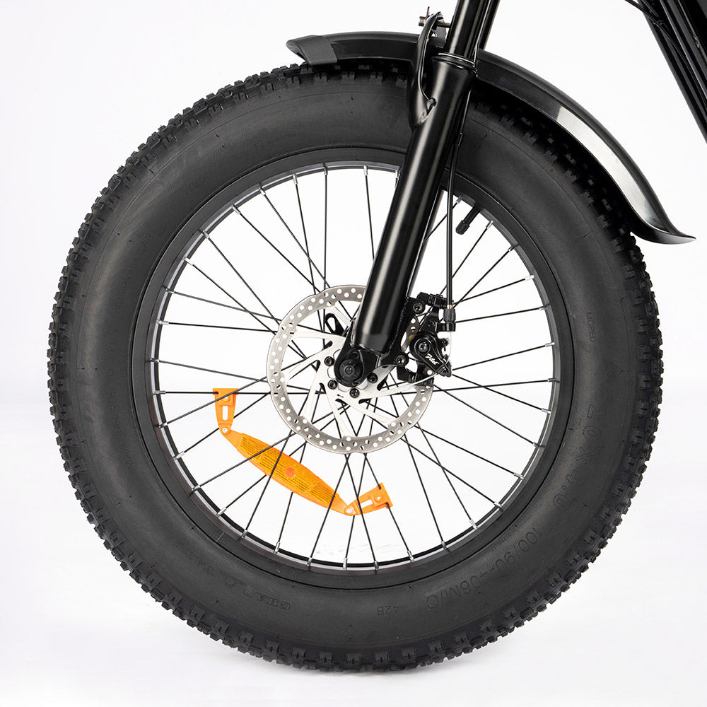 Ridstar Q20 Mini Electric Bike, 1000W Motor, 48V 15AH Battery, 20*4.0 inch Fat Tires, 40km/h Max Speed, 80km Range, Front Suspension Fork, Mechanical Disc Brakes