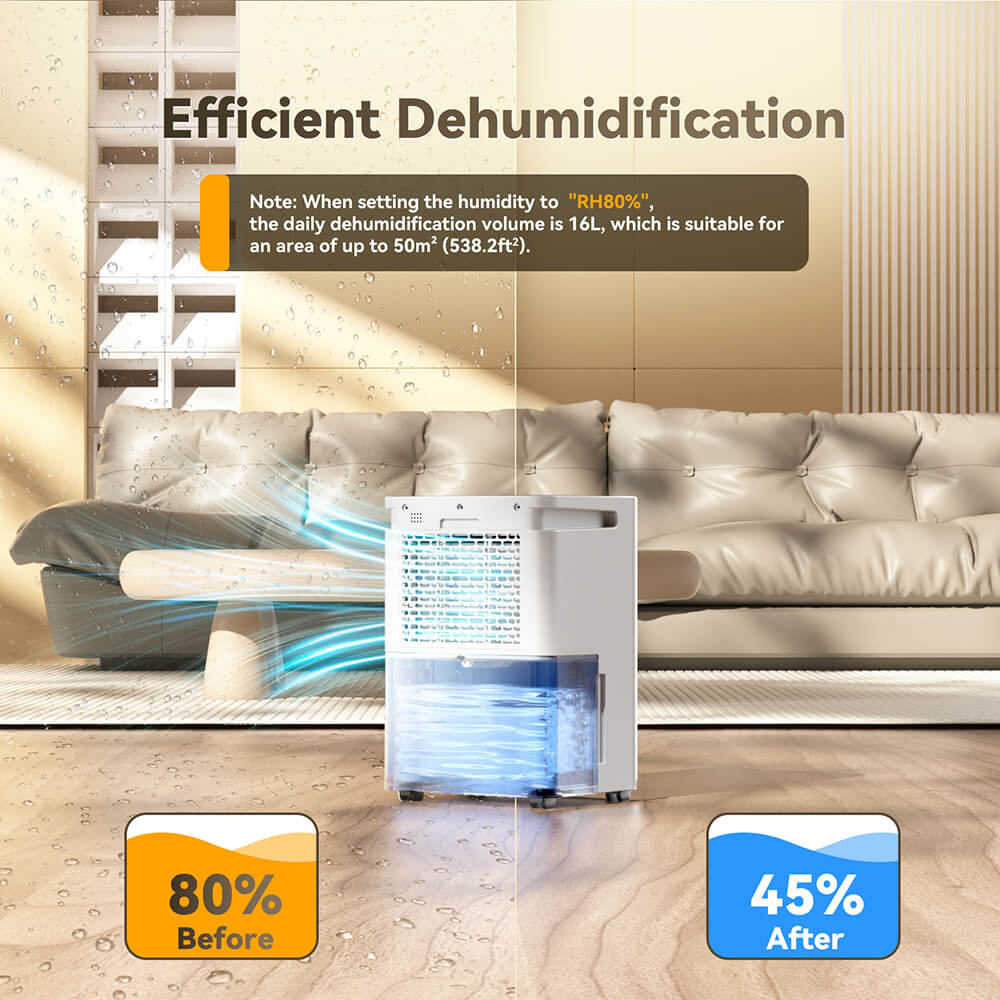 Solayce PD16R-02EE Dehumidifier 16L/24h, 3.2L Large Water Tank, Digital Humidity Display, Coverage Area 50㎡(538 sq. ft), 24H Timer, Ideal for Laundry Drying, Bedroom, Basement, Garage & Kitchen