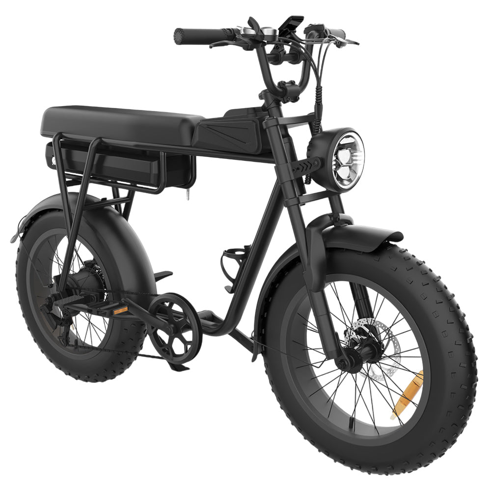 YAMALI FXH-006 Electric Bike, 350W Motor, 48V 18Ah Battery, 20*4'' Fat Tires, 40km/h Max Speed, 50km Range, Shimano 7 Speed, Front & Rear Mechanical Disc Brakes, Shimano 7 Speed, LCD Display - Black
