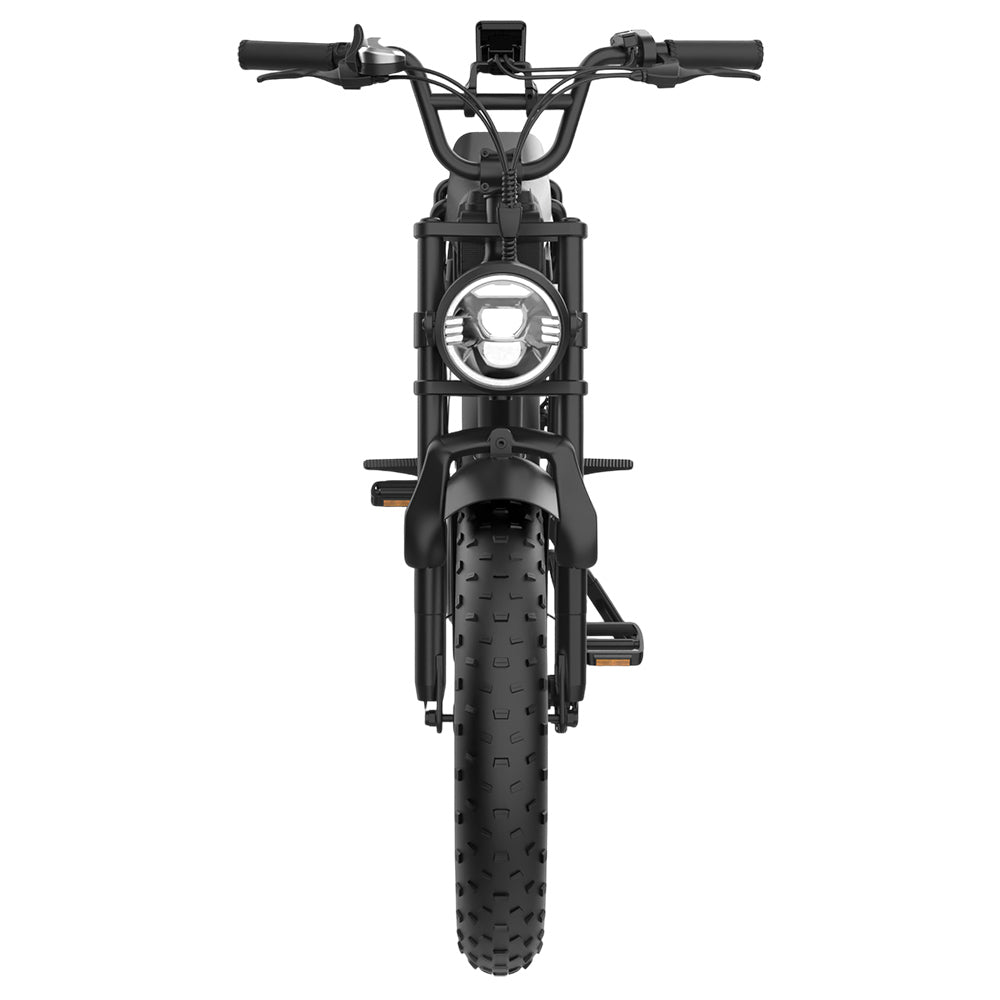 YAMALI FXH-006 Electric Bike, 350W Motor, 48V 18Ah Battery, 20*4'' Fat Tires, 40km/h Max Speed, 50km Range, Shimano 7 Speed, Front & Rear Mechanical Disc Brakes, Shimano 7 Speed, LCD Display - Black
