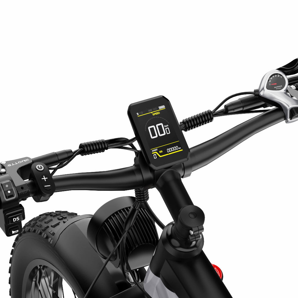 DUOTTS F26 Electric Mountain Bike 750W*2 Dual Motors Samsung 48V 20Ah Battery 26*4.0 Inch Fat Tires 55Km/h Max Speed 55 Degree Climbing Smart Color Display APP Dual Disc Brakes 150KG Max Load 100KM Range Smart App - Silver