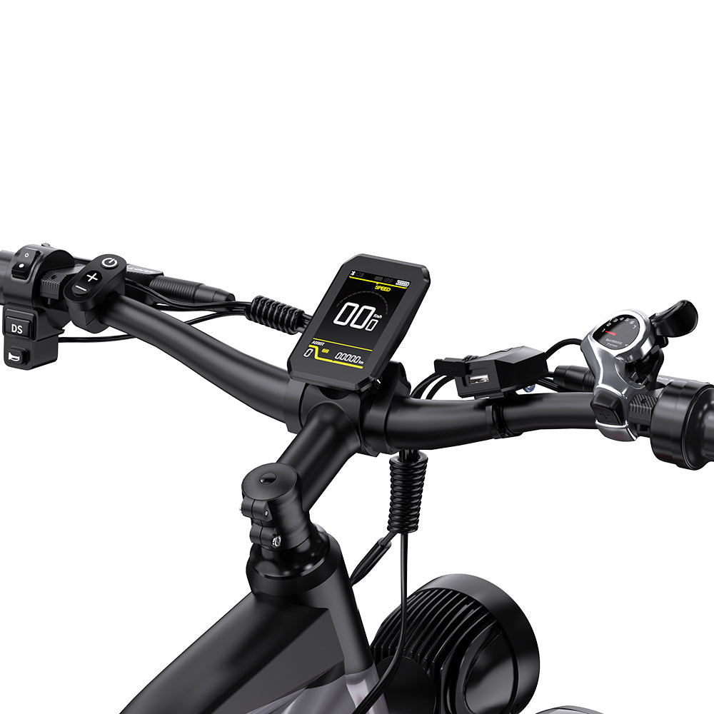 DUOTTS F26 Electric Mountain Bike 750W*2 Dual Motors Samsung 48V 20Ah Battery 26*4.0 Inch Fat Tires 55Km/h Max Speed 55 Degree Climbing Smart Color Display APP Dual Disc Brakes 150KG Max Load 100KM Range Smart App - Silver