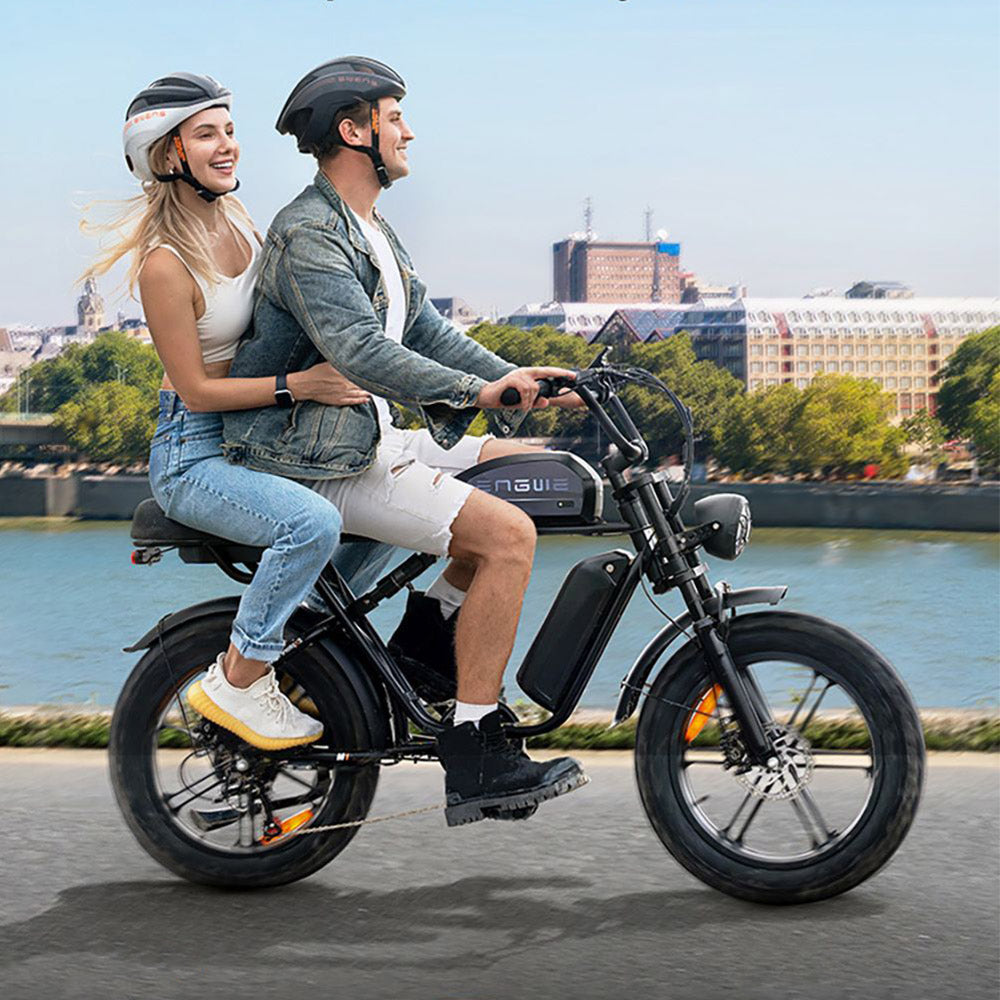 ENGWE M1 Electric Bike, 250W Motor, 48V 15.6Ah Battery, 20*4.0 inch Fat Tire, 25 km/h Max Speed, 90km Range, Hydraulic Disc Brakes, Double Suspension, Shimano 7-speed, LCD Display - Black