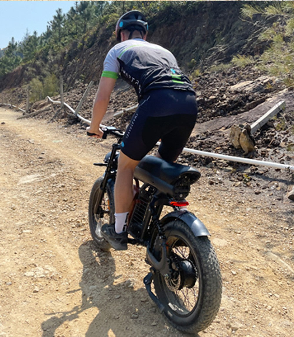 BEZIOR XF006 Electric Bike, 1200W Motor, 48V 23.2Ah Battery, 20*4.0-inch Tire, 47km/h Max Speed, 100km Range, Hydraulic Oil Brakes, Spring Suspensions, Shimano 7-speed, LCD Display