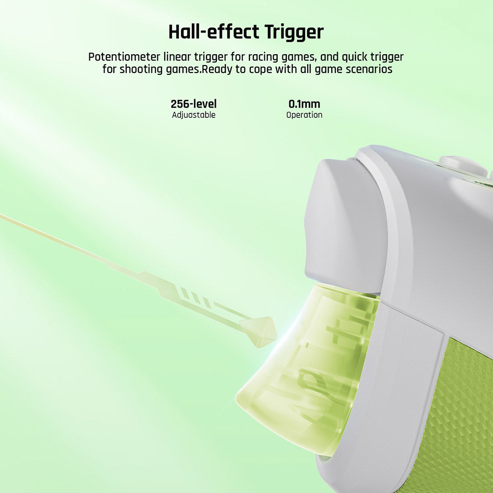 BIGBIG WON Rainbow 2 SE Game Controller, Hall Effect Trigger, 12-bit ADC, 4-way & 8-way D-pads, Compatible with Switch / PC / Android / iOS - Green