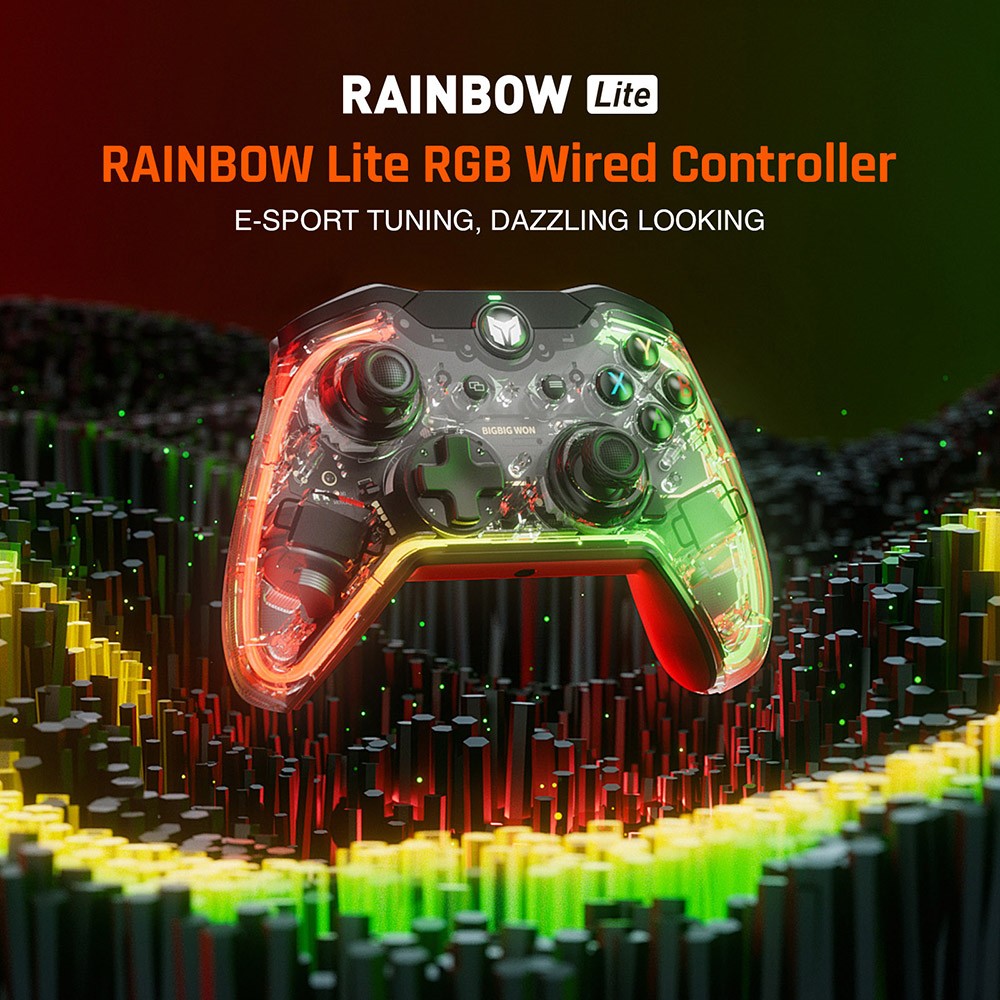 BIGBIG WON Rainbow Lite Wired Game Controller, RGB Light, Custom Buttons, Compatible with Switch / Windows 10 & 11 PC