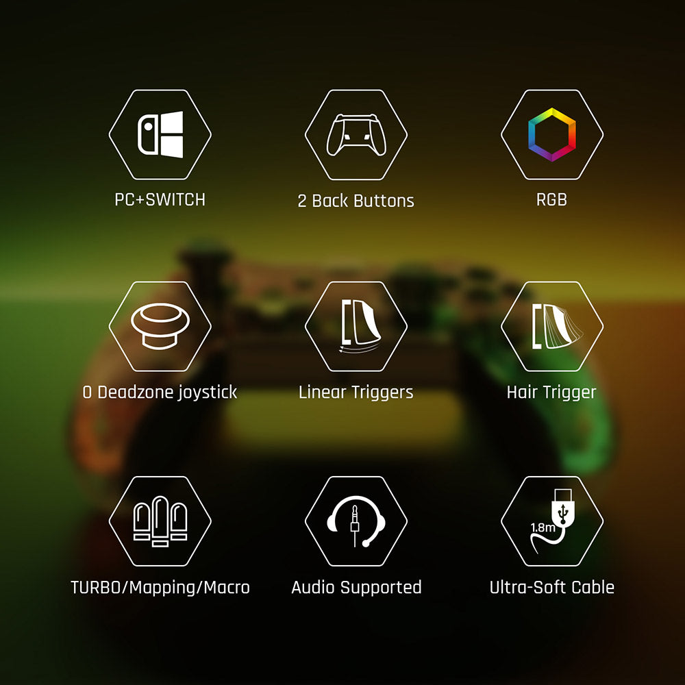 BIGBIG WON Rainbow Lite Wired Game Controller, RGB Light, Custom Buttons, Compatible with Switch / Windows 10 & 11 PC