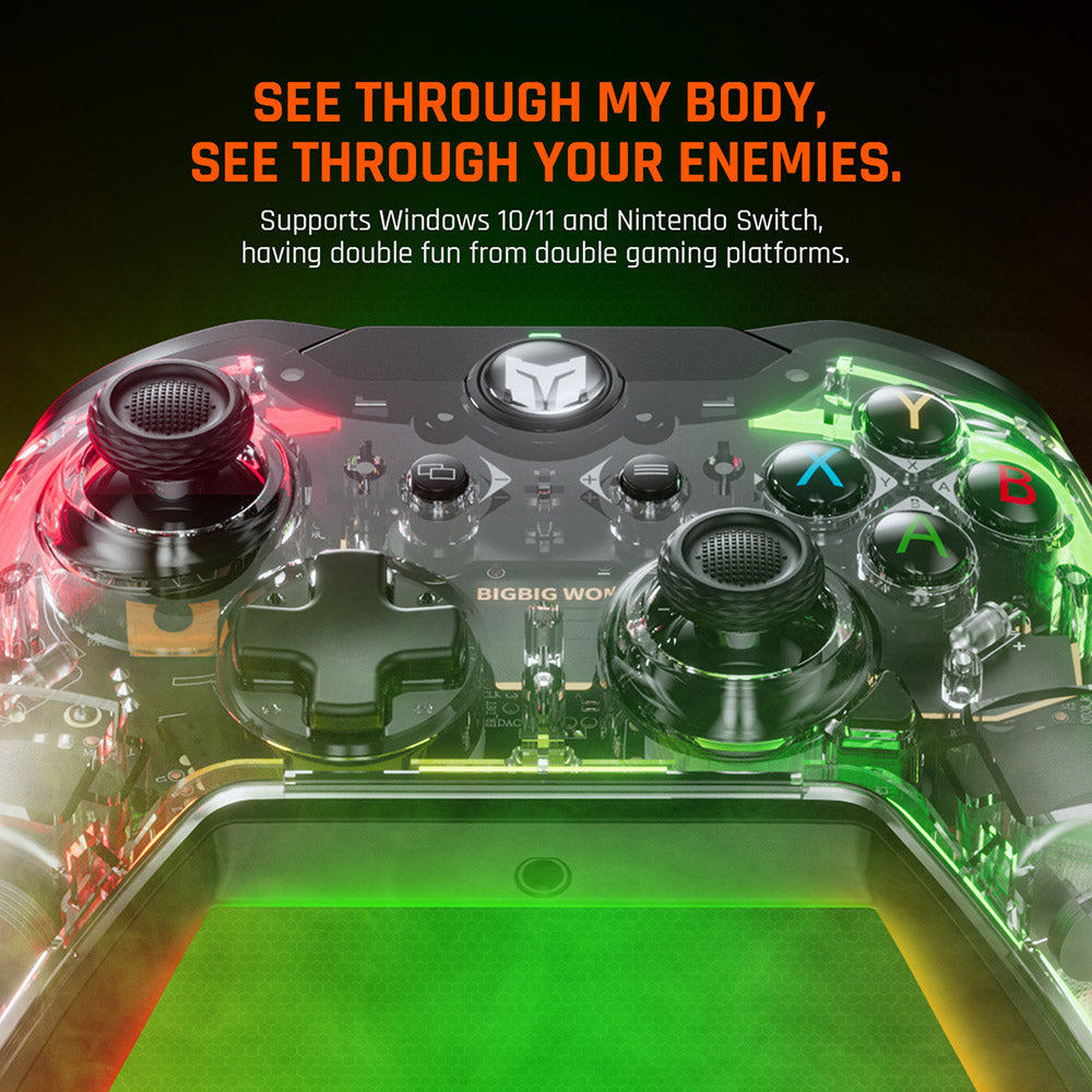 BIGBIG WON Rainbow Lite Wired Game Controller, RGB Light, Custom Buttons, Compatible with Switch / Windows 10 & 11 PC