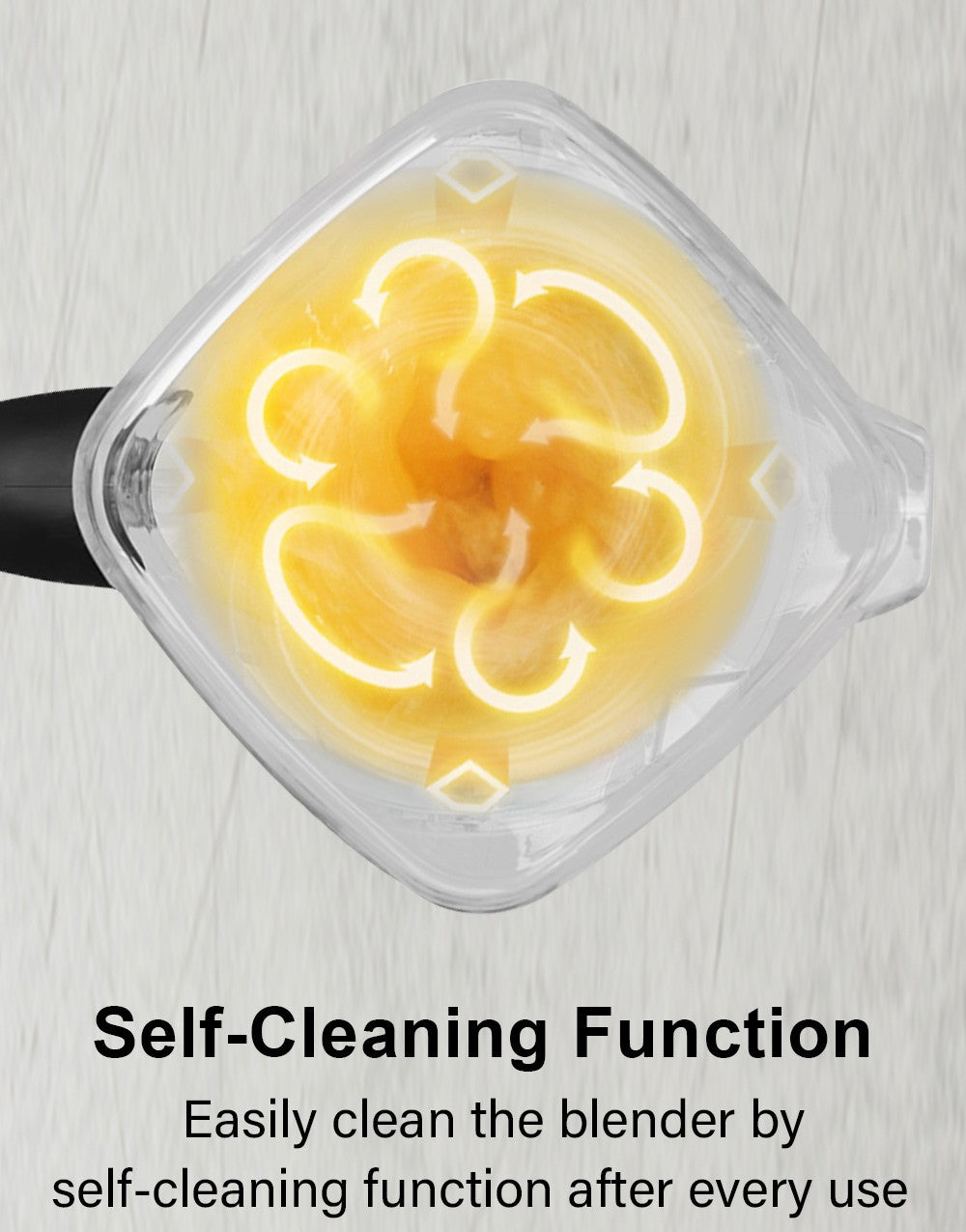 BioloMix T5200 3HP 2200W Timer Blender, Fruit Food Mixer Juicer, 2L Capacity, BPA Free