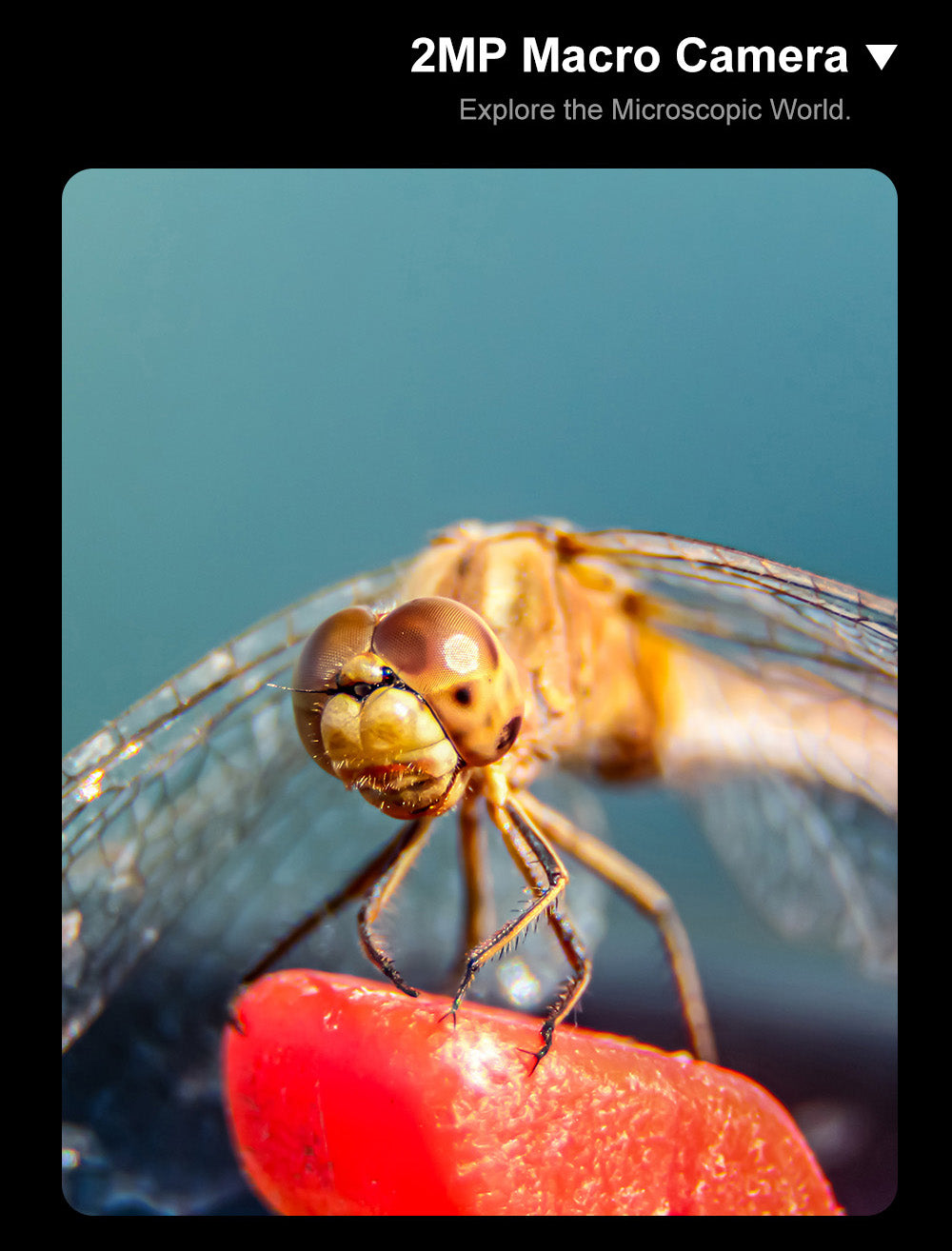 FOSSiBOT S3 Pro 4G Smartphone, 6.67