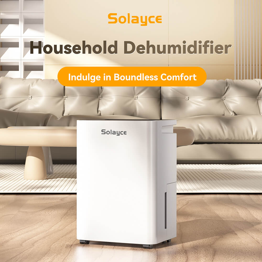 Solayce PD12R-02EE Dehumidifier with 3.2L Water Tank, Flat 35dB Noise and Smart Touch Panel