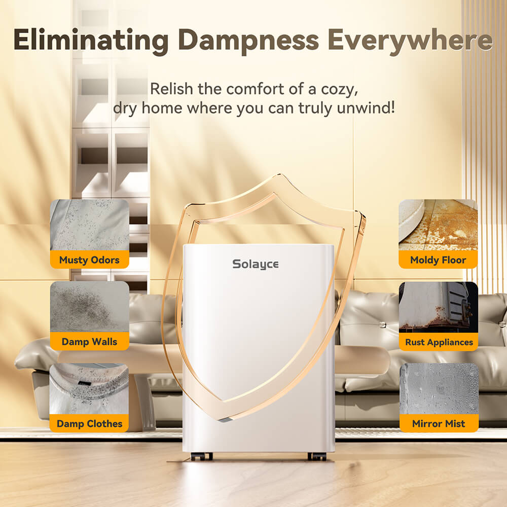 Solayce PD12R-02EE Dehumidifier with 3.2L Water Tank, Flat 35dB Noise and Smart Touch Panel