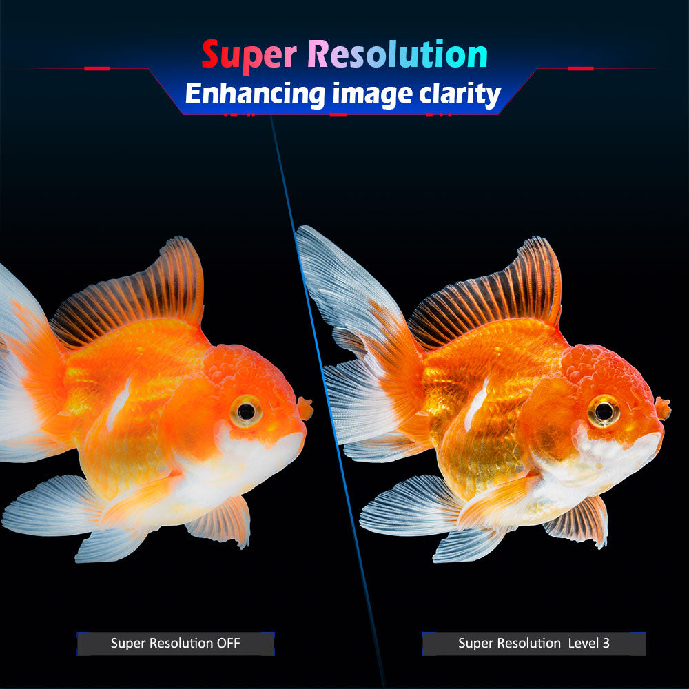 TITAN ARMY P2510HS Gaming Monitor, 24.5-inch 1920*1080 CSOT Fast IPS Screen, 300Hz Refresh Rate, HDR400, 121% sRGB, 1ms GTG Response Time, Adaptive-Sync, Hardware Low Blue Light, Gaming Assist, PIP/PBP Display, VESA Mounting