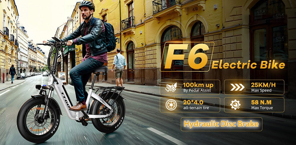 TTGO F6 Electric Bike, 250W Motor, 36V 25Ah Battery, 20*4 inch Tires, 25km/h Max Speed, 100km Max Range, Hydraulic Disc Brake, Front Shock Absorber, Torque Sensor, Shimano 7-speed, LCD Display - White