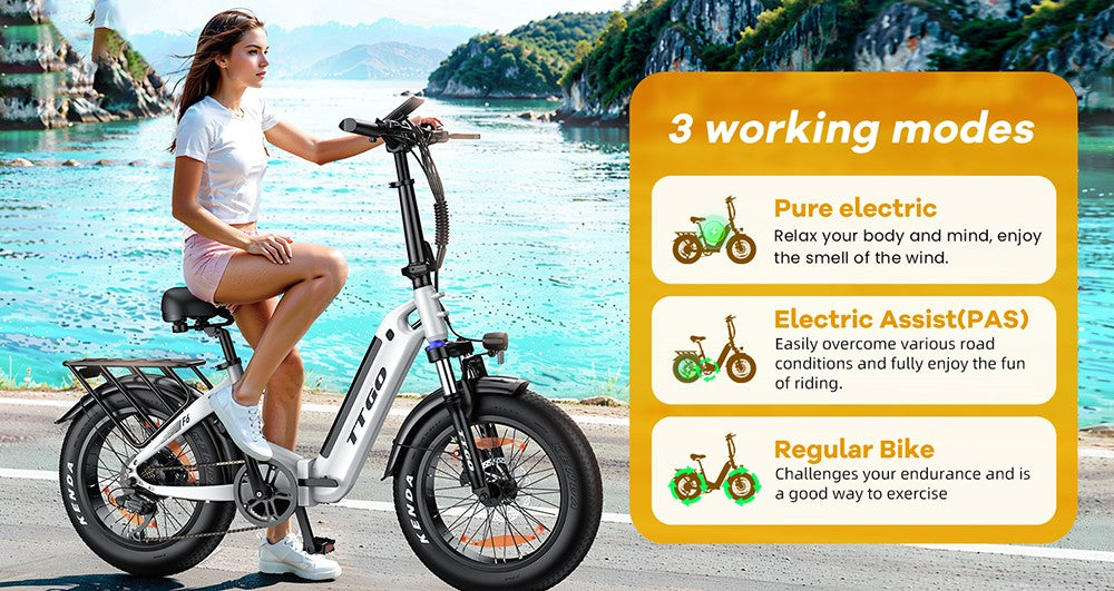 TTGO F6 Electric Bike, 250W Motor, 36V 25Ah Battery, 20*4 inch Tires, 25km/h Max Speed, 100km Max Range, Hydraulic Disc Brake, Front Shock Absorber, Torque Sensor, Shimano 7-speed, LCD Display - White