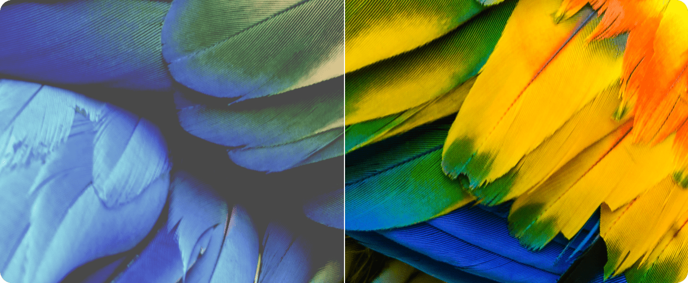 Ultimea Apollo P40 Native 1080P LCD Projector