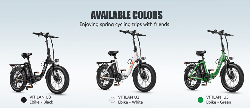 Vitilan U3 Electric Bike, 750W Motor, 48V 13AH Battery, 20*4.0-inch Tires, 45km/h Max Speed, 65km Max Range, Mechanical Disc Brake, Suspension Front Fork, Shimano 7 Speed, LCD Display - Black