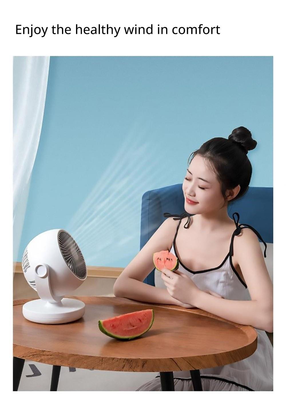 Xiaoda Feiyue C06 Desktop Portable Air Circulation Fan, 3 Gears Wind, Timing Function, Shaking Head Up and Down - Plug-in Version